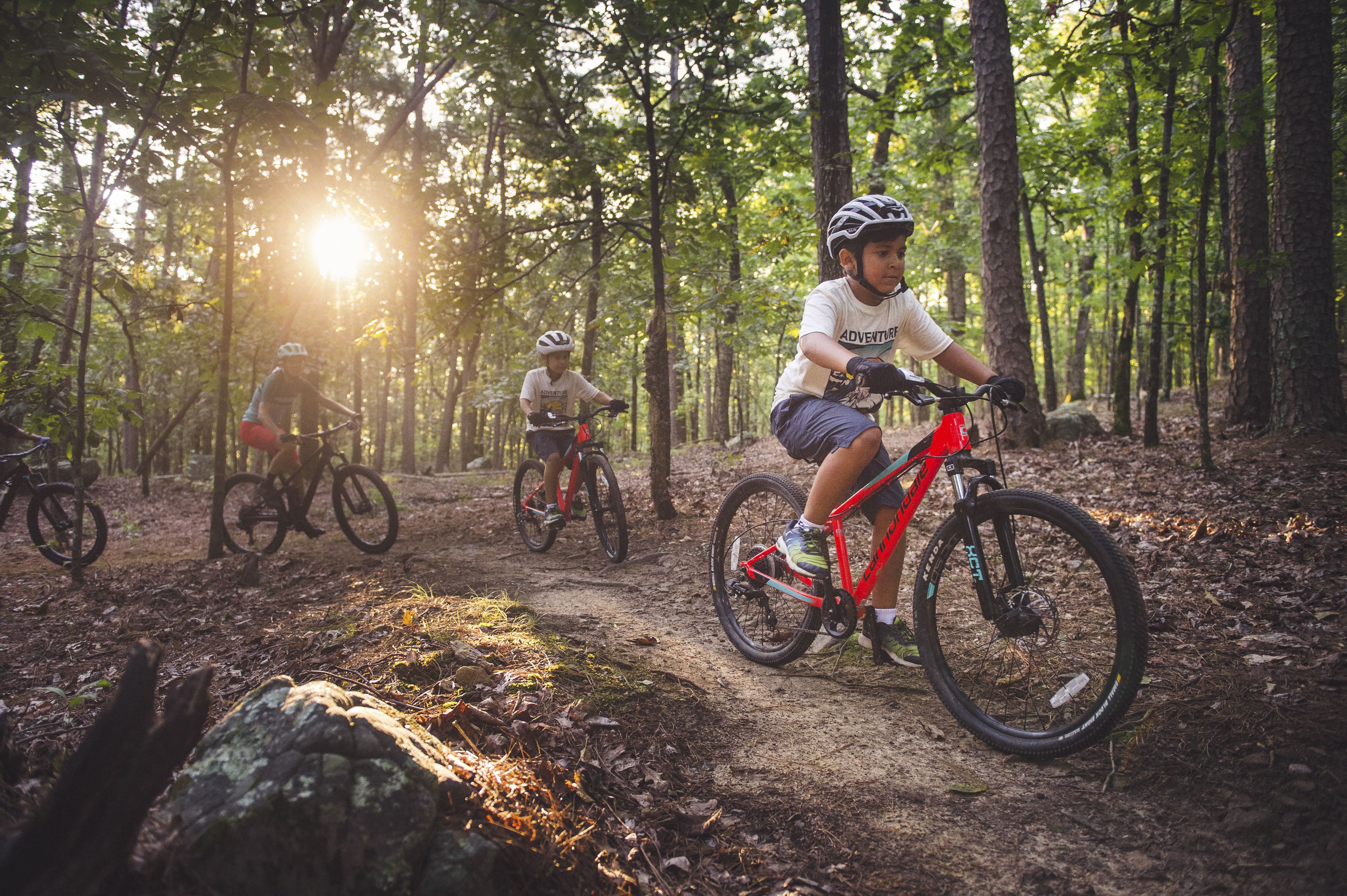 A family of four including two small children mountain biking on the Monument Trails at Pinnacle Mountain State Park